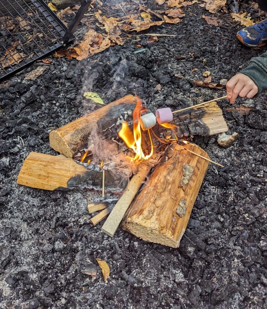 A child's hand holds a marshmallow on a campfire.